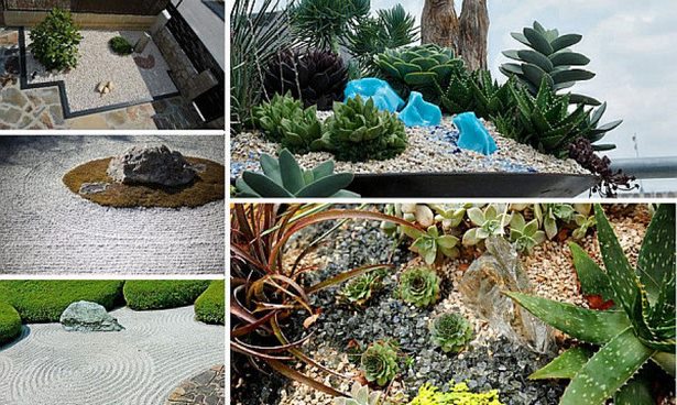 sukkulente-steingarten-ideen-48_6 Succulent rock garden ideas