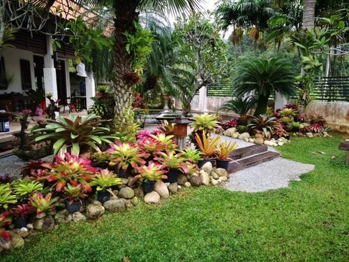 tropische-garten-ideen-51 Tropical gardening ideas