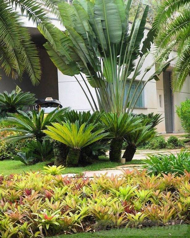 tropische-garten-ideen-51_13 Tropical gardening ideas
