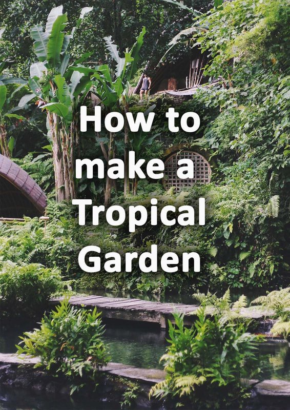 tropische-gartengestaltung-ideen-25_11 Tropical garden landscaping ideas