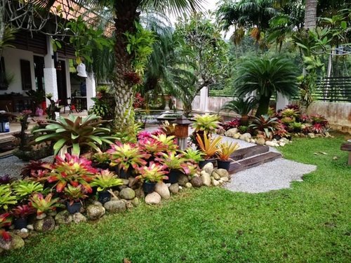 tropische-gartengestaltung-ideen-25_7 Tropical garden landscaping ideas