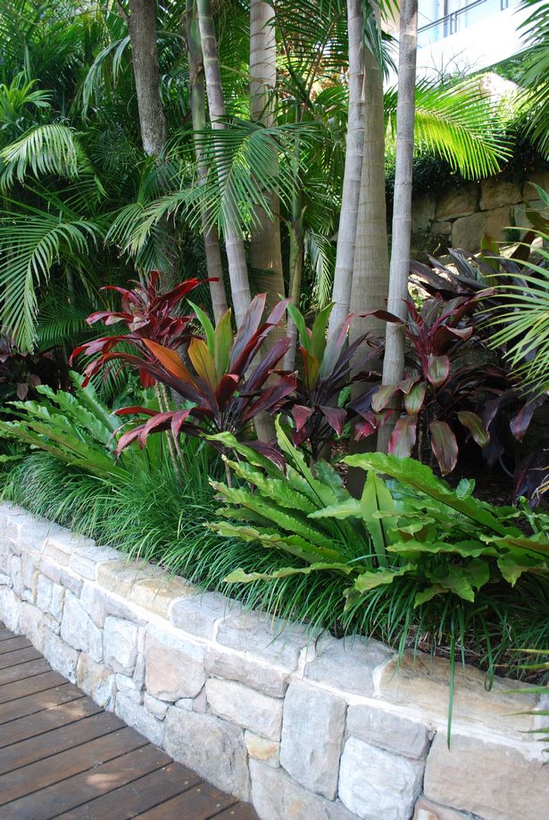 tropische-gartengestaltung-ideen-25_9 Tropical garden landscaping ideas
