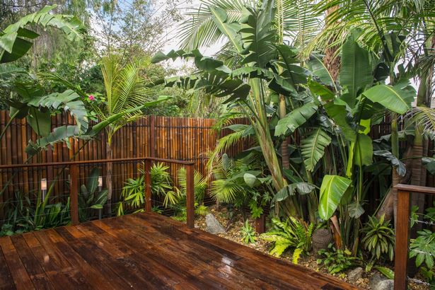 tropische-hausgarten-ideen-24_6 Tropical home garden ideas