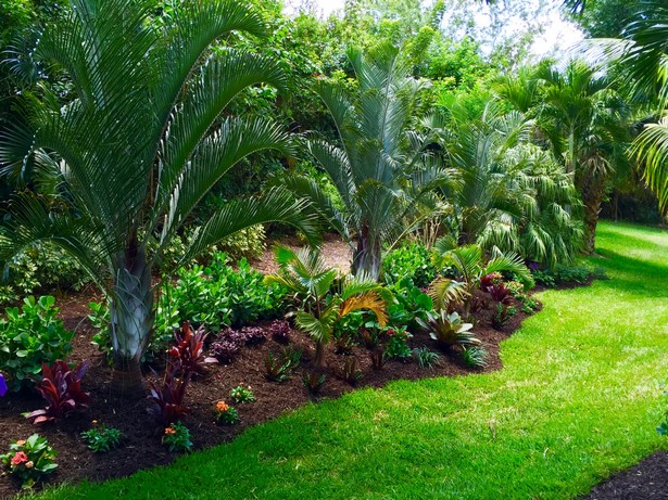 tropische-hinterhof-landschaftsbau-ideen-57_12 Tropical backyard landscaping ideas