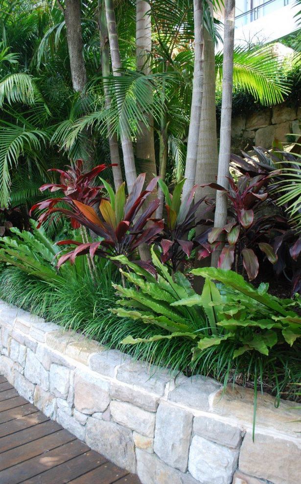 tropische-hinterhof-landschaftsbau-ideen-57_16 Tropical backyard landscaping ideas