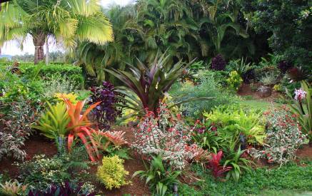 tropische-hinterhof-landschaftsbau-ideen-57_2 Tropical backyard landscaping ideas