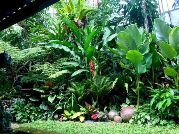 tropische-hinterhof-landschaftsbau-ideen-57_9 Tropical backyard landscaping ideas
