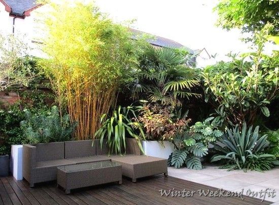 tropische-landschaftsgestaltung-ideen-fur-hinterhof-18 Tropical landscaping ideas for backyard