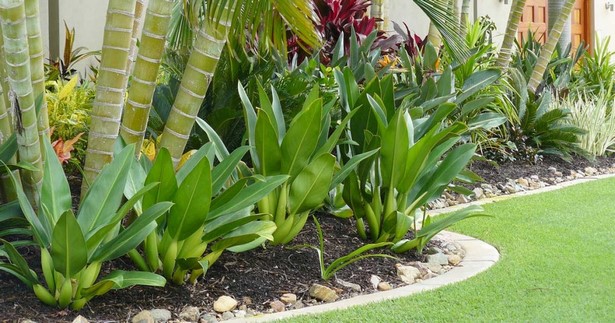tropische-pflanzen-landschaftsbau-ideen-79_17 Tropical plants landscaping ideas