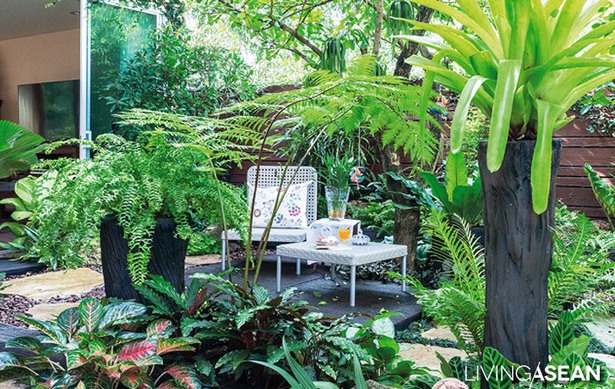 tropische-pflanzen-landschaftsbau-ideen-79_19 Tropical plants landscaping ideas