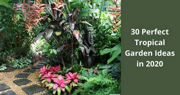 tropische-pflanzen-landschaftsbau-ideen-79_2 Tropical plants landscaping ideas