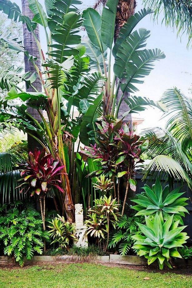 tropische-pflanzen-landschaftsbau-ideen-79_4 Tropical plants landscaping ideas