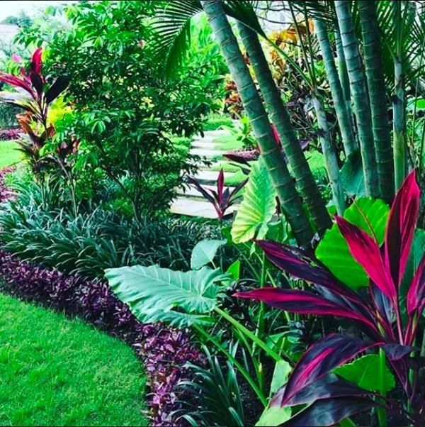 tropische-pflanzen-landschaftsbau-ideen-79_5 Tropical plants landscaping ideas