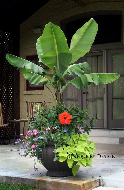 tropische-pflanzer-ideen-52_4 Tropical planter ideas