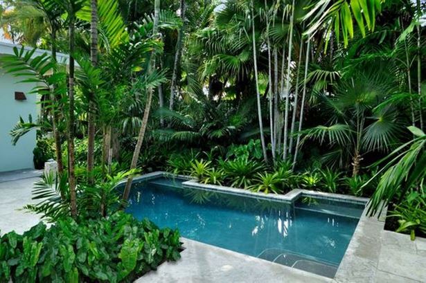 tropische-pool-ideen-77_13 Tropical pool ideas