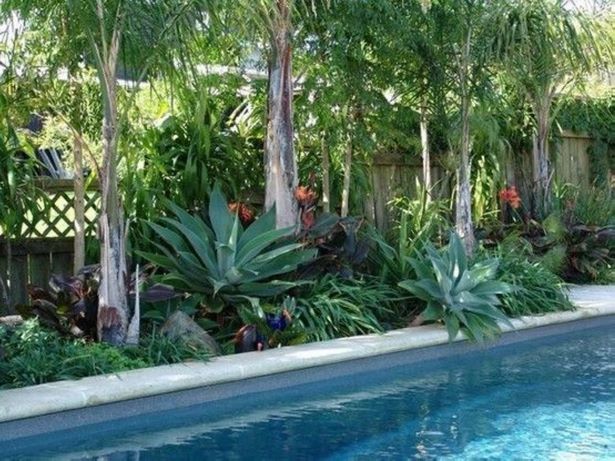 tropische-pool-landschaftsbau-ideen-51_16 Tropical pool landscaping ideas