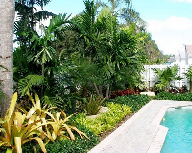 tropische-pool-landschaftsbau-ideen-51_17 Tropical pool landscaping ideas