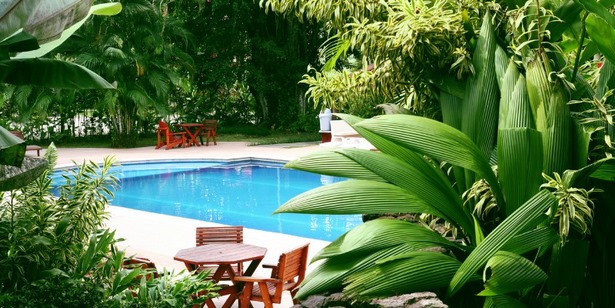 tropische-pool-landschaftsbau-ideen-51_7 Tropical pool landscaping ideas