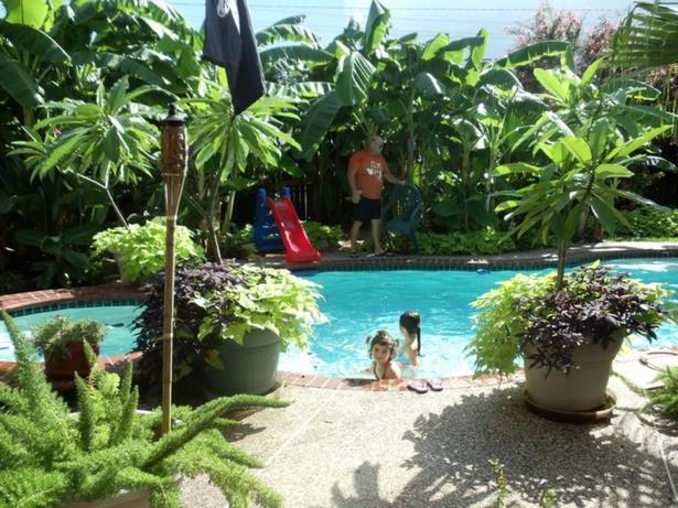 tropische-pool-landschaftsbau-ideen-51_9 Tropical pool landscaping ideas
