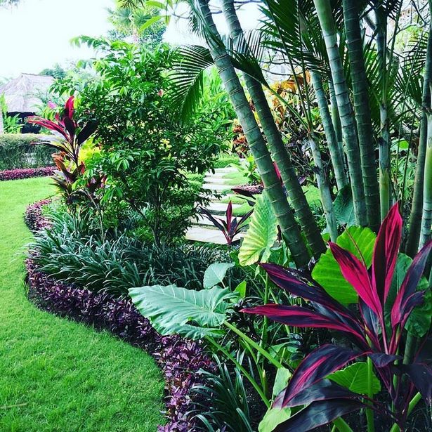 tropischer-garten-bett-ideen-44_11 Tropical garden bed ideas