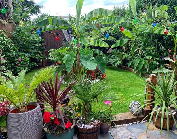tropischer-garten-bett-ideen-44_14 Tropical garden bed ideas