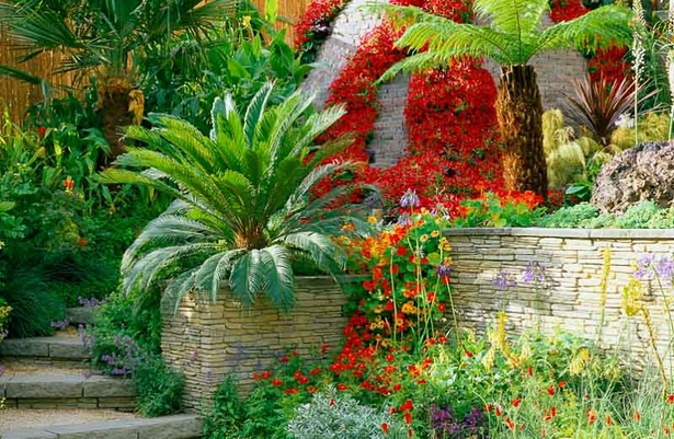 tropischer-garten-bett-ideen-44_16 Tropical garden bed ideas