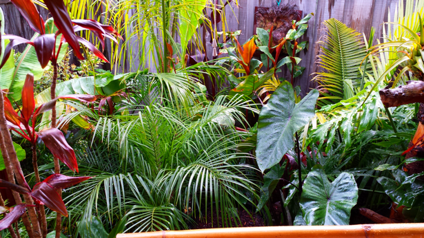tropischer-garten-bett-ideen-44_18 Tropical garden bed ideas