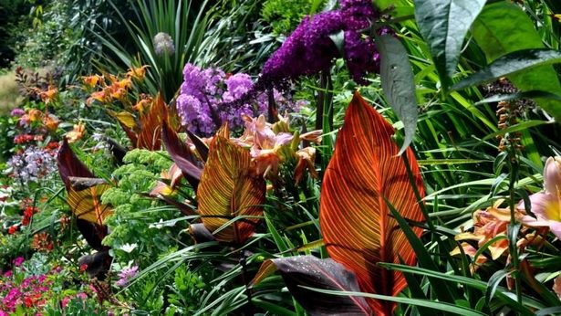 tropischer-garten-ideen-bilder-48_12 Tropical garden ideas pictures