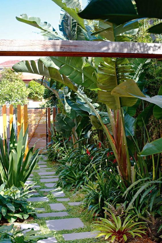 tropischer-garten-ideen-bilder-48_9 Tropical garden ideas pictures