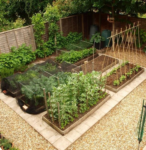 vege-garten-design-ideen-19_17 Vege garden design ideas
