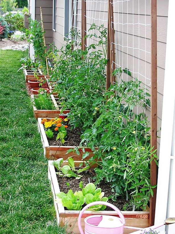 vege-garten-design-ideen-19_18 Vege garden design ideas