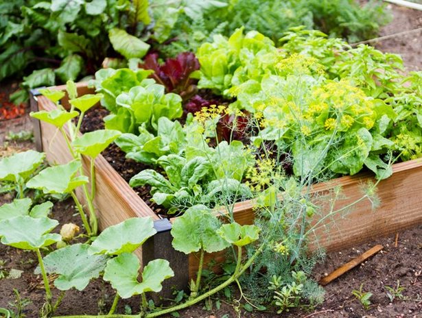 vege-garten-design-ideen-19_6 Vege garden design ideas