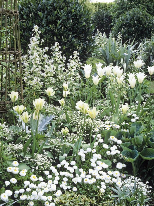 weisse-garten-design-ideen-07_14 White garden design ideas