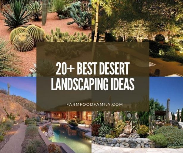 wuste-terrasse-ideen-25_12 Desert patio ideas