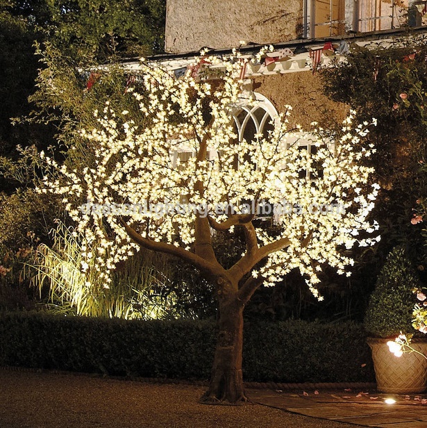 baum-leuchtet-landschaft-18 Baum leuchtet Landschaft