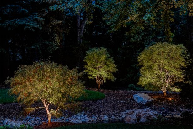 baum-leuchtet-landschaft-18_10 Baum leuchtet Landschaft