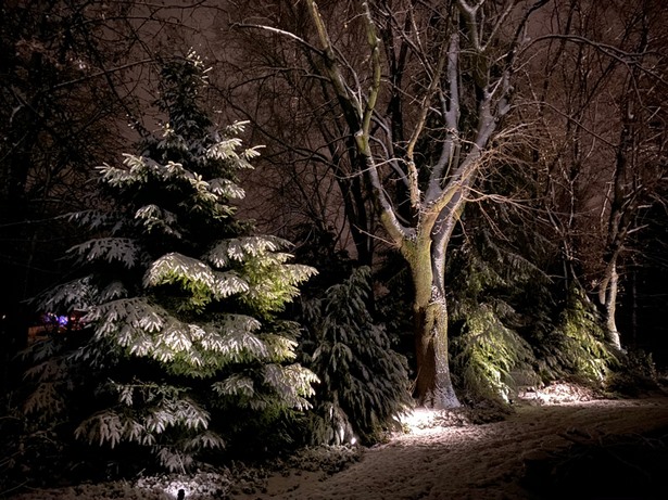 baum-leuchtet-landschaft-18_11 Baum leuchtet Landschaft