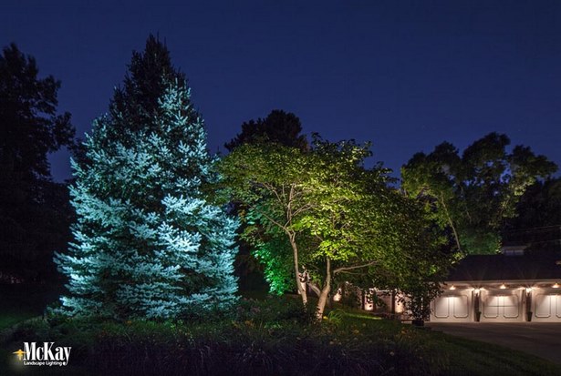 baum-leuchtet-landschaft-18_13 Baum leuchtet Landschaft