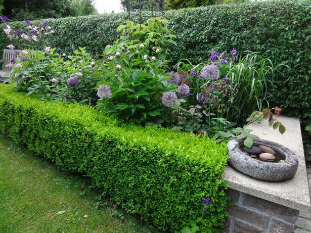 Beetgestaltung mit hortensien