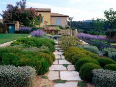 bilder-mediterraner-garten-80 Bilder mediterraner garten