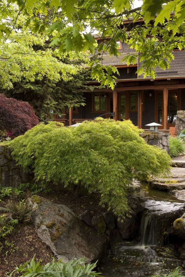 Garten asiatisch gestalten