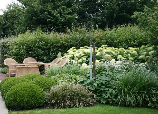 Hortensien beetgestaltung