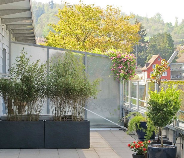 sichtschutz-dachterrasse-ideen-56_11 Sichtschutz dachterrasse ideen