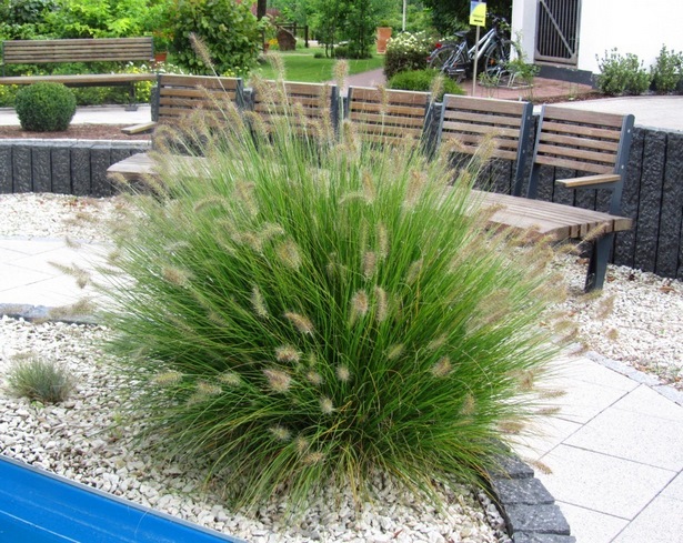 Steingarten mit gräsern anlegen