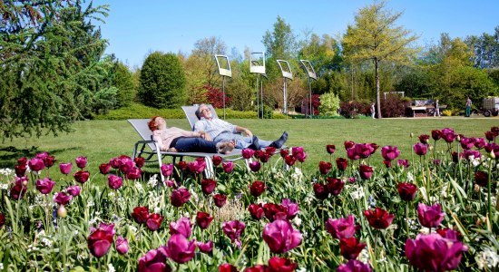 die-schonsten-privaten-garten-deutschlands-09 Die schönsten privaten gärten deutschlands