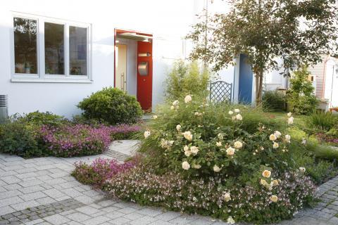 Vorgartenbeet ideen