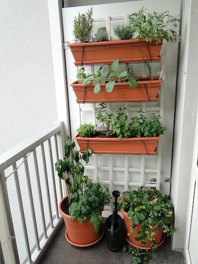 Balkon Gemüsegarten Ideen