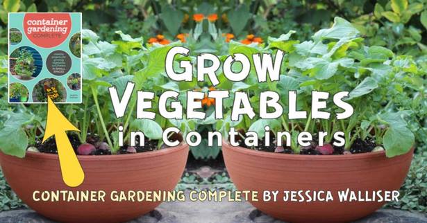 gemuse-container-gartenarbeit-ideen-26_7 Gemüse container Gartenarbeit Ideen