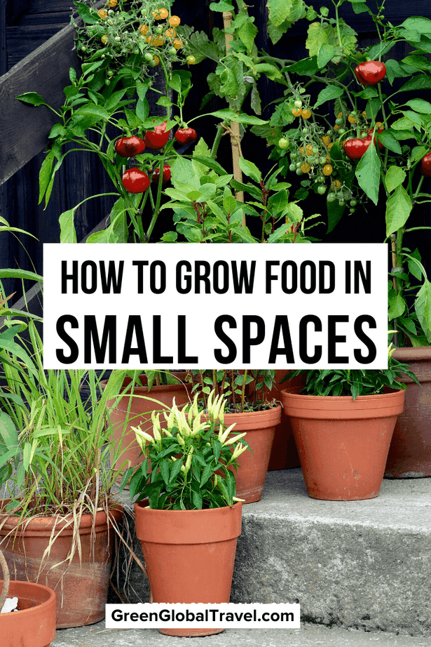 gemusegarten-ideen-fur-kleine-raume-54 Gemüsegarten Ideen für kleine Räume