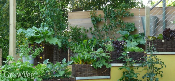 gemusegarten-ideen-fur-kleine-raume-54_16 Gemüsegarten Ideen für kleine Räume